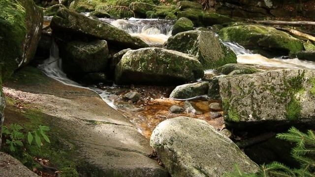 Această muzică vă ajută să adormiți смотреть онлайн