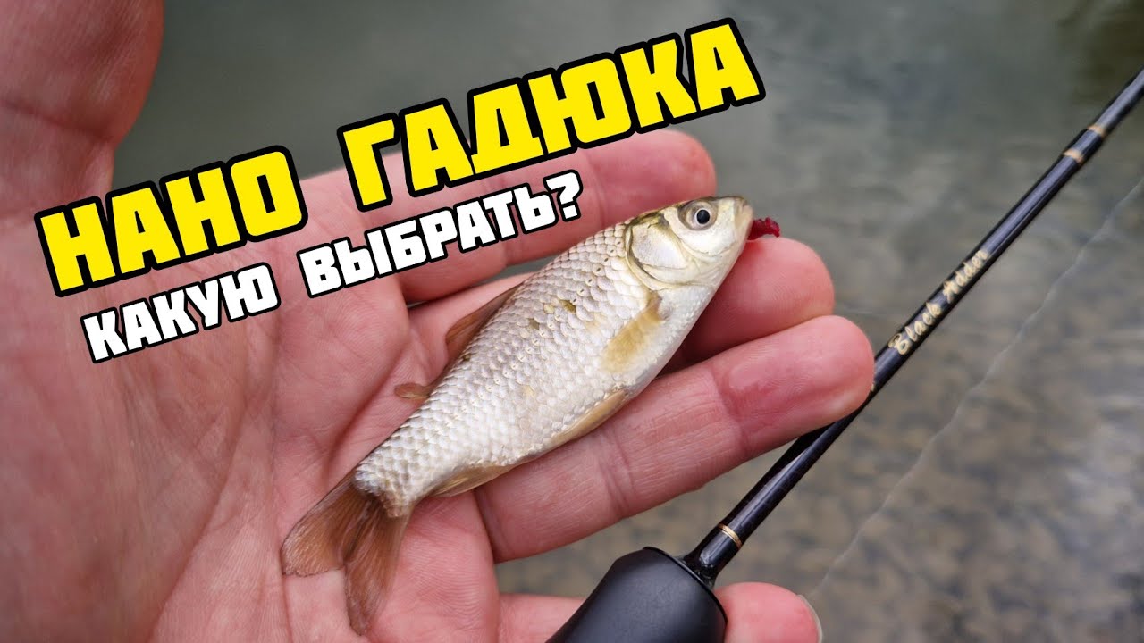 Мормышинг | Сравнение спиннингов Black Adder Nano от Сезон Рыбалки | Какой выбрать?