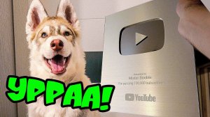 СЕРЕБРЯНАЯ КНОПКА ПРИЕХАЛА (Хаски Бублик) Говорящая собака