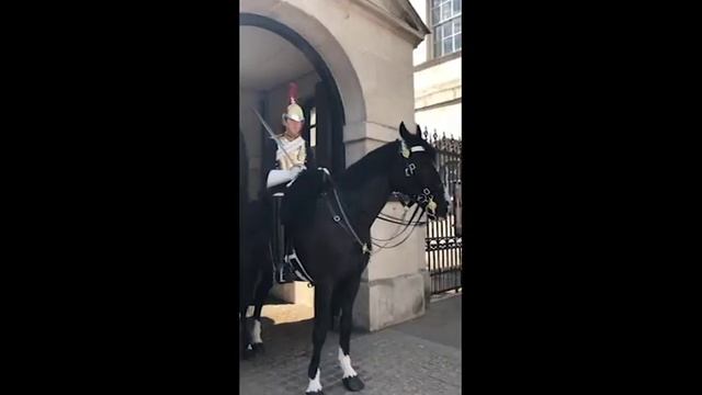 Эльвира Гаврилова: "Обучение за границей" в Лондоне смотреть онлайн