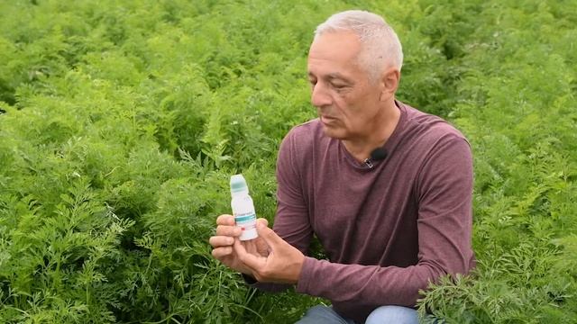 Гербіцидний захист насаджень Моркви смотреть онлайн