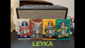 Пивные дрожжи LEYKA| Дегустация 4-х видов пива.