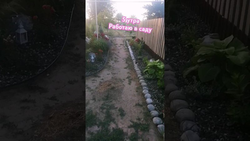 сад ждать не будет