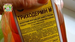 Как оздоровить почву? Как сделать почву плодородной? Способы оздоровления и улучшения плодородия по