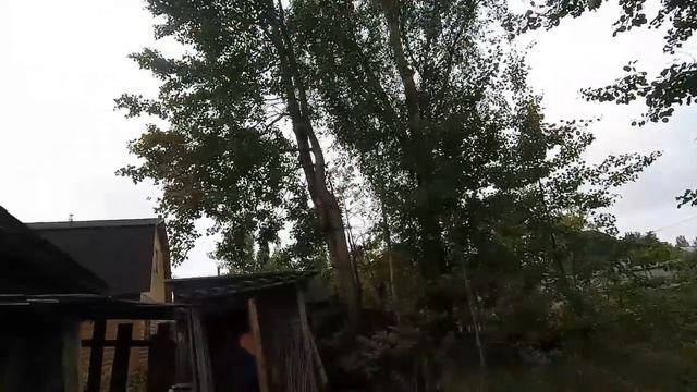 Восстановление Дачи.НАЧАЛО.Разбираю Старый Сарай. смотреть онлайн