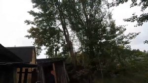 Восстановление Дачи.НАЧАЛО.Разбираю Старый Сарай.
