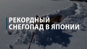 Рекордный снегопад в Японии