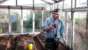 Почему я не провожу предпосевную обработку теплицы "марганцовкой", перманганатом калия.