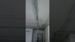 Ниша эркер натяжной потолок двойные светильники тройные светильники караул