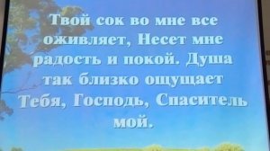1604 Когда в Твои слова вникаю.