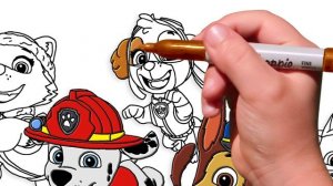 PAW PATROL Coloring Pages - Chase, Marshall, Skye. How to draw Paw Patrol. Easy Drawing Tutorial Ar