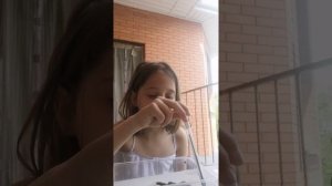 Чем и как кормить божью коровку
