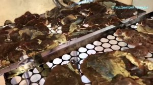 Как приготовить ЖЁСТКОЕ МЯСО АЛТАЙСКОГО МАРАЛА