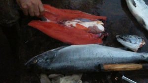 филеровка кижуча мастер класс