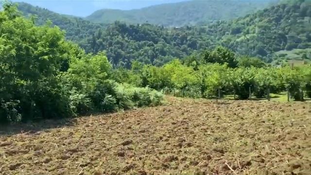 Участок на берегу реки в Кеда Аджария Грузия смотреть онлайн