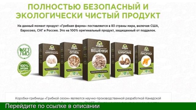 Заказать Грибы Для Выращивания