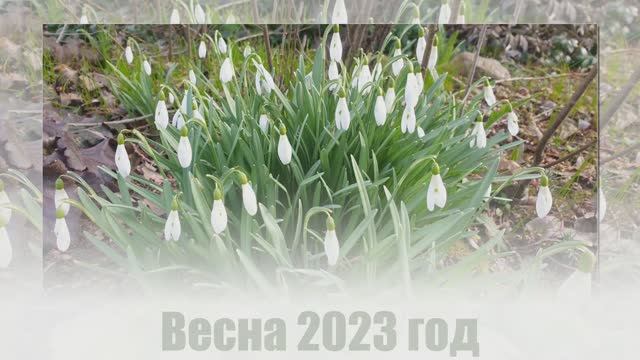 Весна 2023 года