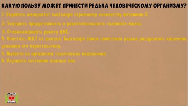 Даже одна РЕДЬКА вызывает НЕОБРАТИМЫЕ ПРОЦЕССЫ в организме человека. Польза и вред репы