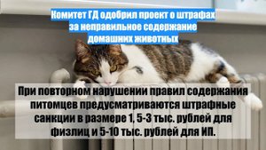 Комитет ГД одобрил проект о штрафах за неправильное содержание домашних животных