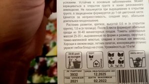 Томат Черри??? "ШОКОЛАДНЫЙ ДЕСЕРТ" буду выращивать в Теплице. Чем Понравился Сорт? 25.01.2023г.???