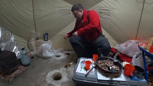 Рыбалка в Унской губе. Навага.#Рыбалка#Зима2021#Навага
