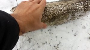 Запас плавучести из пенопласта