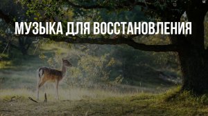 Нежная спокойная музыка для отдыха, для Души, для здоровья восстанавливает нервную систему