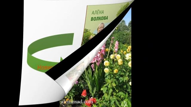 Обзор книг по садоводничеству и огородничеству