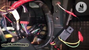 Nissan Primera P12. Твердотельное Реле для активации заднего хода