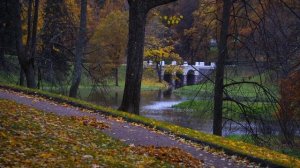 Парк «Ораниенбаум»