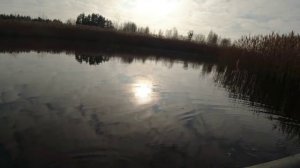 Ловля щуки на силикон 5 дюймов.