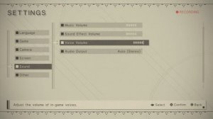 NieR:Automata Voice Recognition Settings