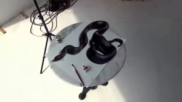 Мастер рисования 3D рисунки смотреть онлайн