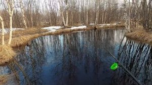 ЩУКАРИ НА ПОПЛАВОК, ЛЕТНЯЯ РЫБАЛКА 2022 ОТКРЫТА НА ЯМАЛЕ! НАШЕ ЛЕТО КОРОТКОЕ НО РЫБНОЕ)))!