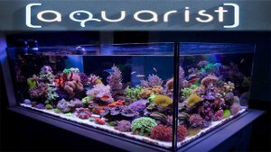 Aquarist - Свой аквариум в виртуальной реальности. | Demo. | аквариум своими руками.