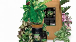 Ионитная питательная добавка КОСМО для комнатны растений