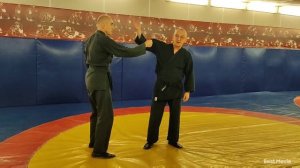 Захваты за руку сбоку. Джиу-джитсу. Темы для новичков 83.