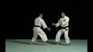 UDE JUJI GATAME