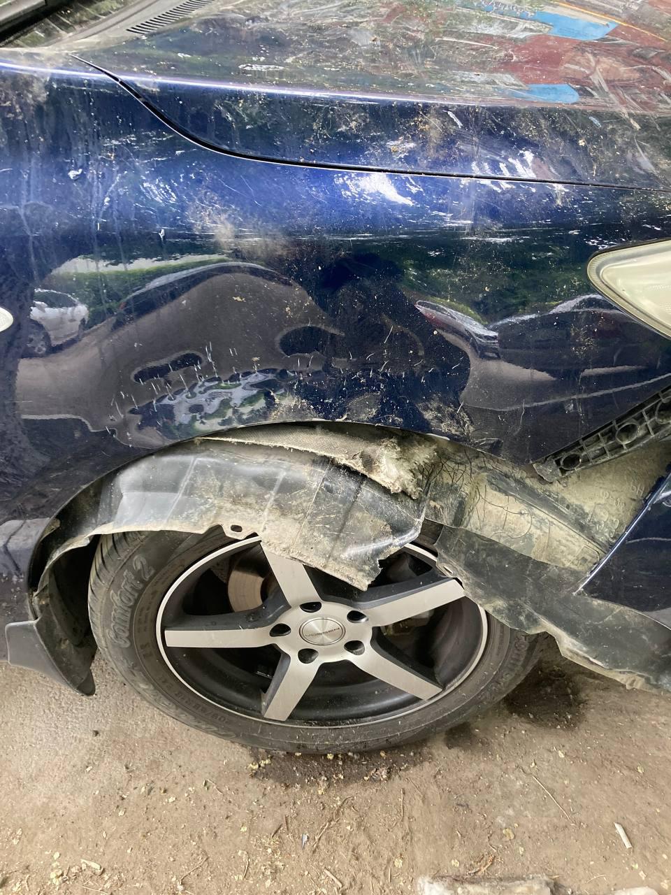 Собаки покалечили автомобиль