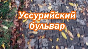 уссурийский бульвар.mp4