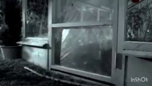 Kitekat - еда энергичных кошек (Борис на даче) (в конце: еда энергичных кошек на зелёном фоне) (1)