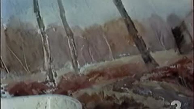 Акварель большой кистью