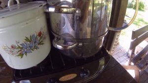 Делаем шелковичный сок