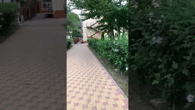 Кабардинка. Санаторий « Жемчужина моря» смотреть онлайн