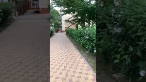 Кабардинка. Санаторий « Жемчужина моря»