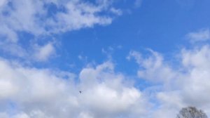 Вокальная группа "Вернисаж" "Стоят березоньки"