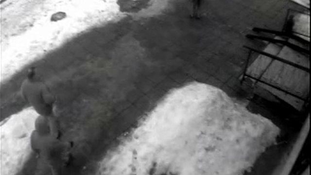 Камера 2 07 01 12 13'54'30 07 01 12 13'55'08 смотреть онлайн