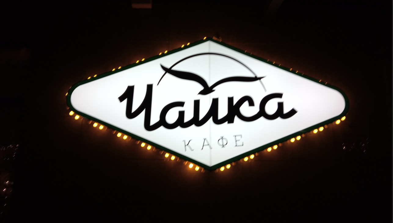 Чайки