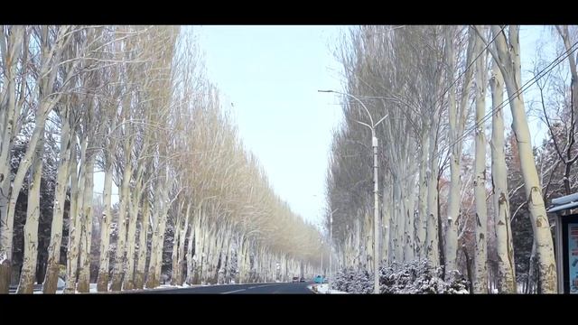 Новогоднее настроение от Hyundai и BiTaxi смотреть онлайн