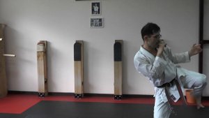 Техника ударов ногами: Йоко гери кеаге